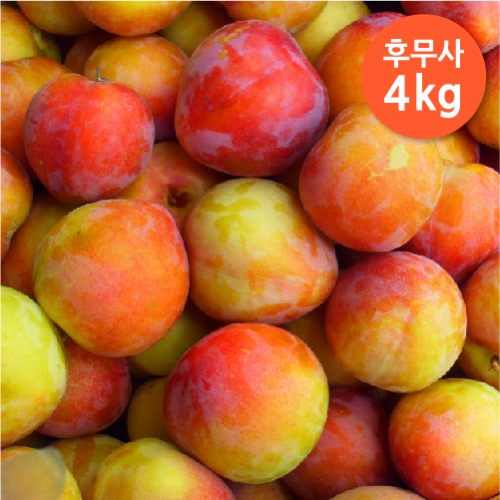 경북 의성 GAP 고당도 후무사자두 의성자두 햇자두 4kg